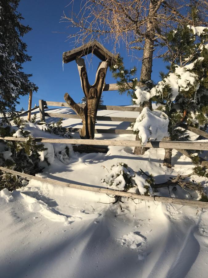 Haus Gohringer / Ferienwohnungen Hermagor-Pressegger See Luaran gambar